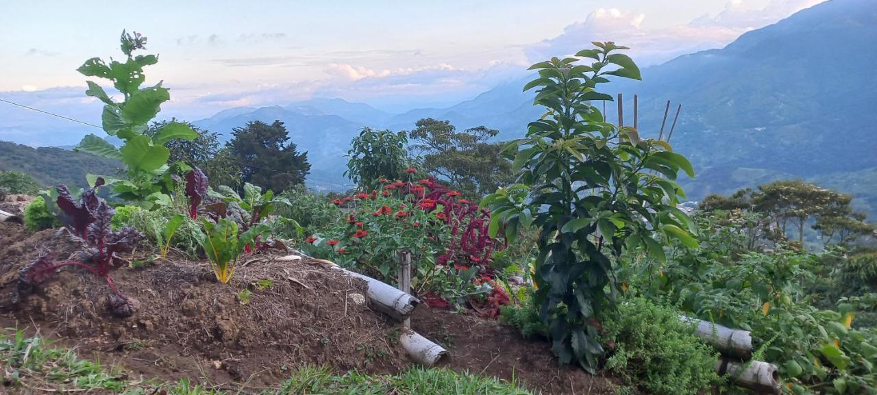 Ecohotel Soplo Del Tambo Cocorna Bagian luar foto