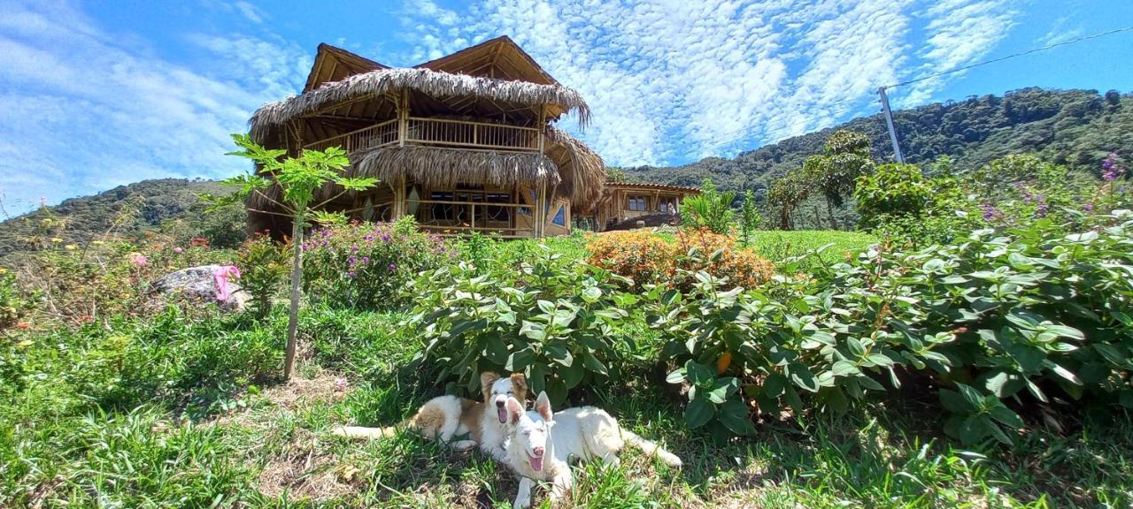 Ecohotel Soplo Del Tambo Cocorna Bagian luar foto