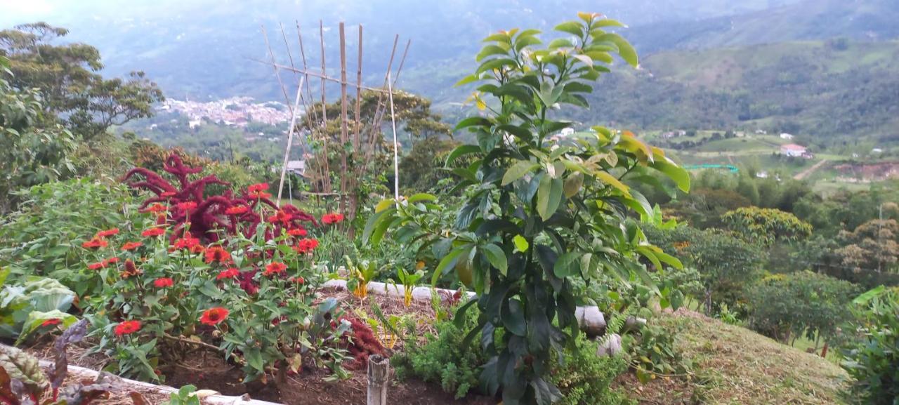 Ecohotel Soplo Del Tambo Cocorna Bagian luar foto