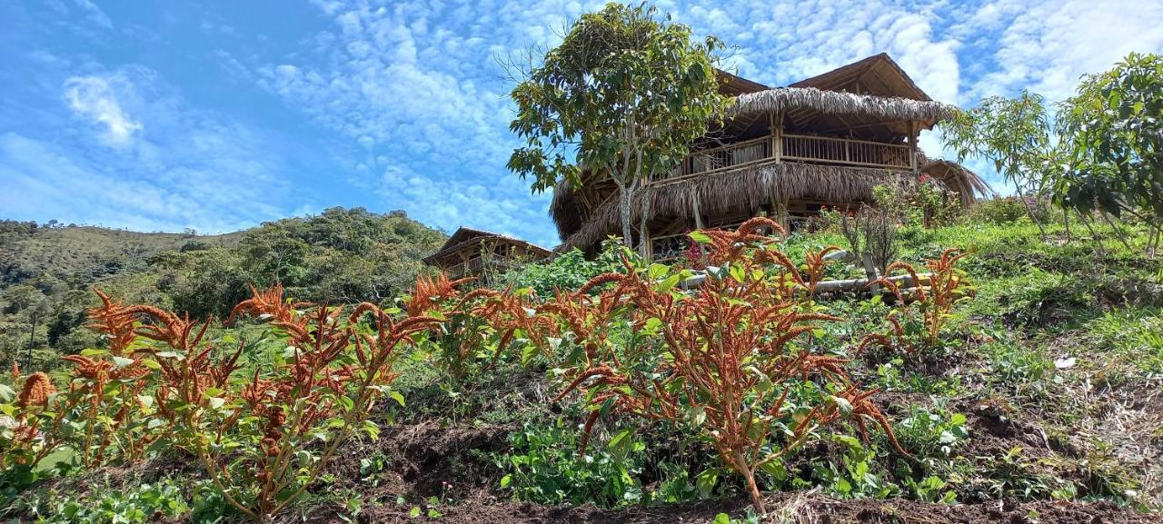 Ecohotel Soplo Del Tambo Cocorna Bagian luar foto