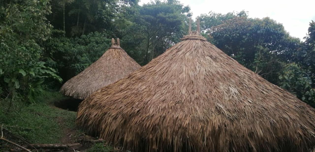 Ecohotel Soplo Del Tambo Cocorna Bagian luar foto